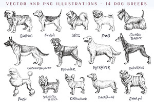 Dog breeds vintage hand drawn vector