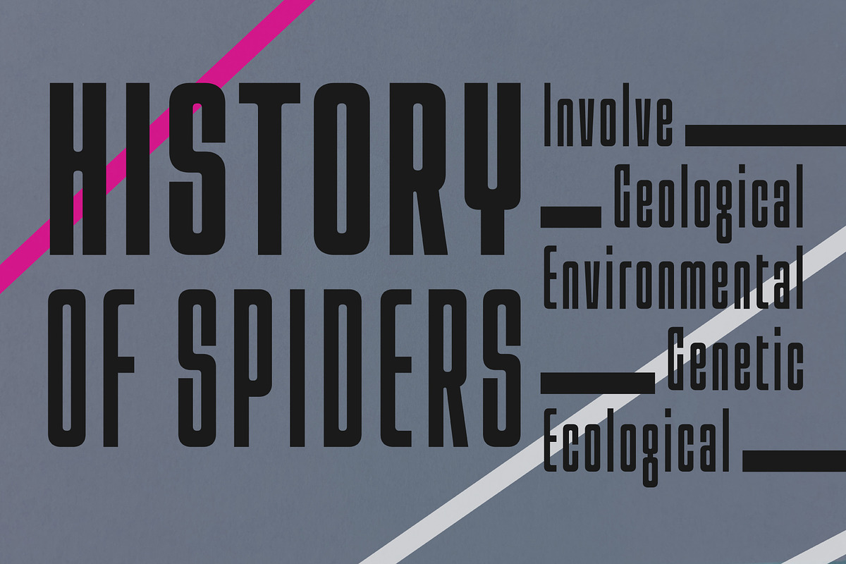 Araneo Condensed, a Sans Serif Font by Stanley fonts (Photo 2 of 12)