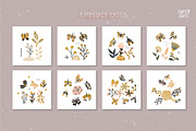 Cute Butterfly 120+ elements, a Decorative Illustration by BAGIRA | Studio (Thumbnail 6 of 9)