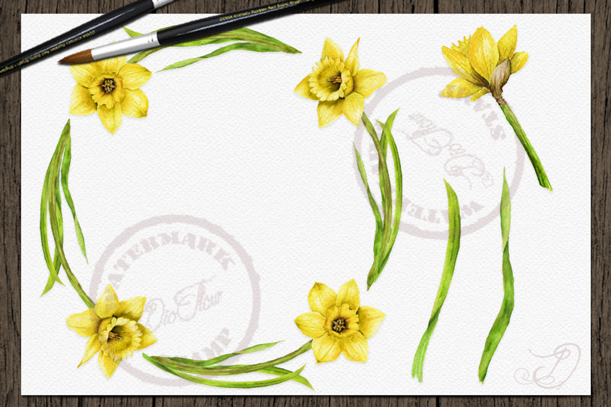 Daffodils Watercolor Clip Art, a Decorative Illustration by DioFlow (Photo 4 of 4)
