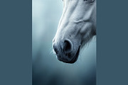 Majestic White Horse Photos, an Animal Illustration by StockVerse Creative (Thumbnail 2 of 4)