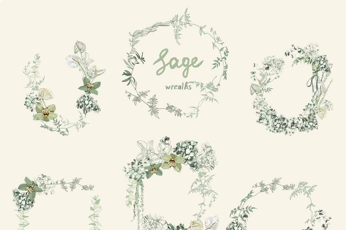Sage Floral Illustrations, an Object Graphic by whiteheartdesign (Photo 3 of 14)