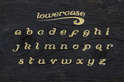 90 Mile Beach, a Font by Alphabet Agency (Thumbnail 3 of 6)