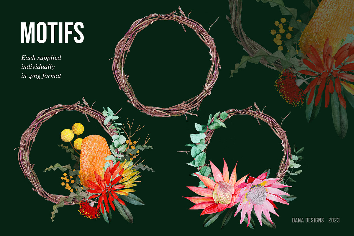 AUSTRALIA FAIR Elements, a Decorative Illustration by Dana Designs (Photo 7 of 14)