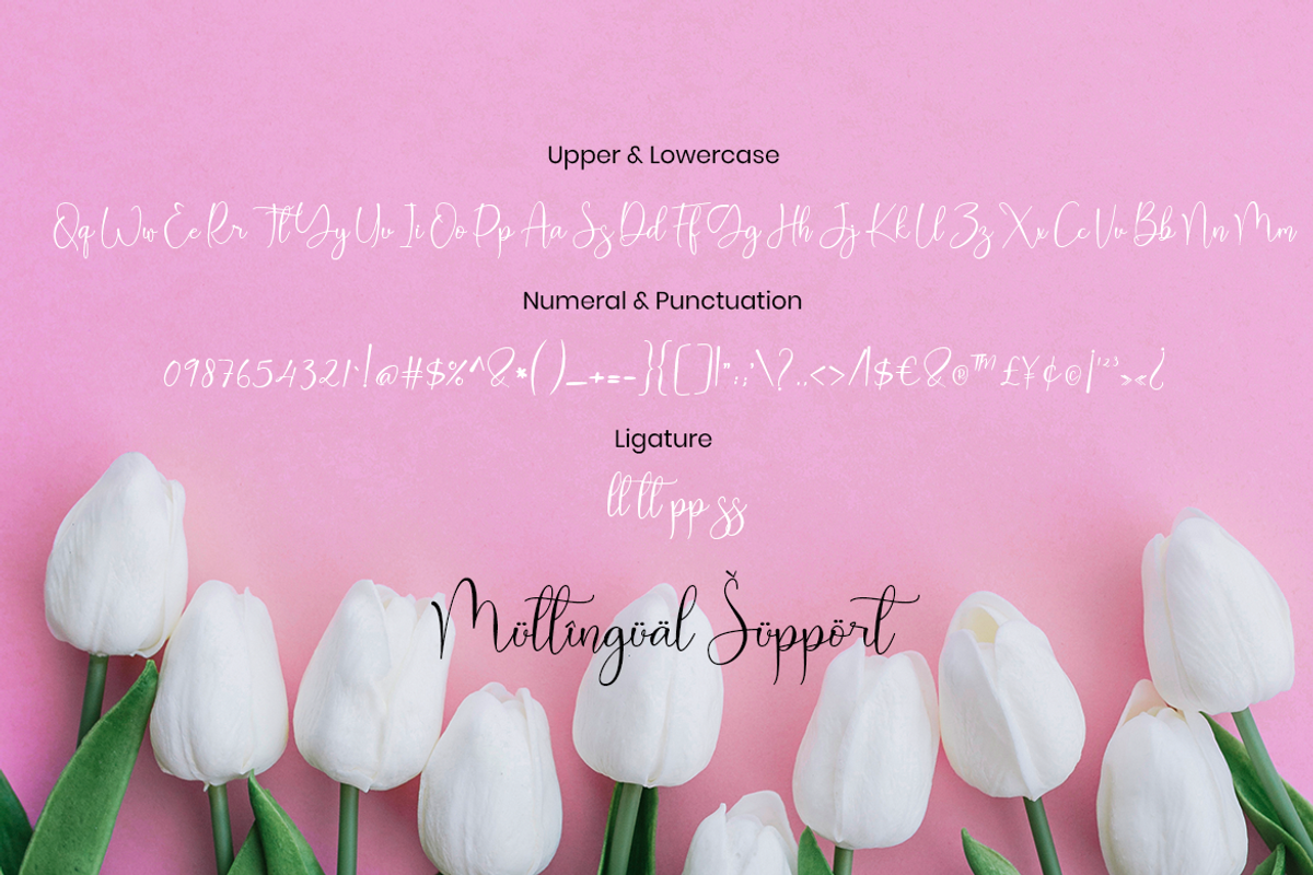 Heart Haily Script Heart Calligraphy, a Script Font by MC Creative (Photo 8 of 10)