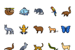 South american animals