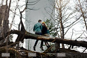 Best cinematic presets fo Lightroom, a Preset Add-On by ColorPhoto (Thumbnail 3 of 7)