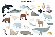 187 Animals Of The World, an Animal Illustration by Andrew Kras Design (Thumbnail 11 of 15)