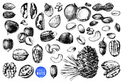 Hard nut graphic design set, a Food Illustration by handsketched (Thumbnail 10 of 18)