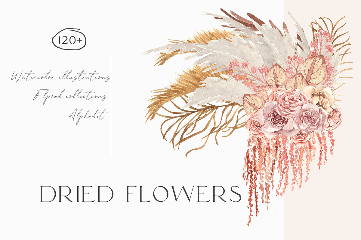 Dried flowers boho, a Decorative Illustration by Julia Bogdan (Photo 1 of 10)