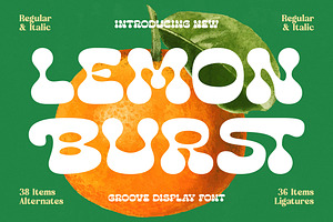 Lemon Burst Retro Groovy Font, a Serif Font by timelesstype.co