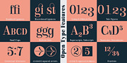 Royalis, a Serif Font by Julien Fincker (Thumbnail 12 of 15)