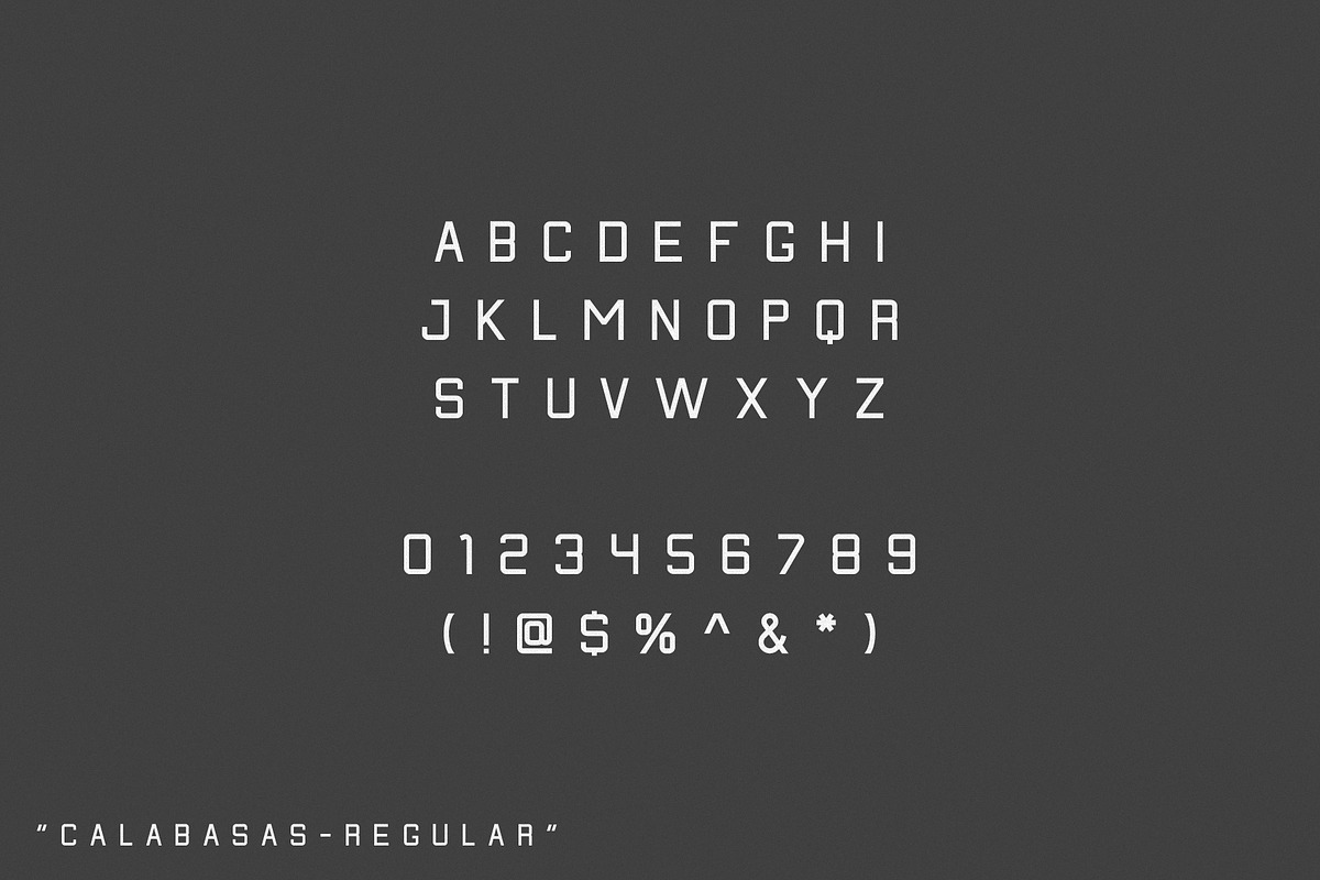 Calabasas | Display Font Family preview 8