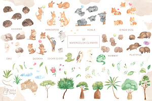 AUSTRALIAN ANIMALS. Watercolor Set