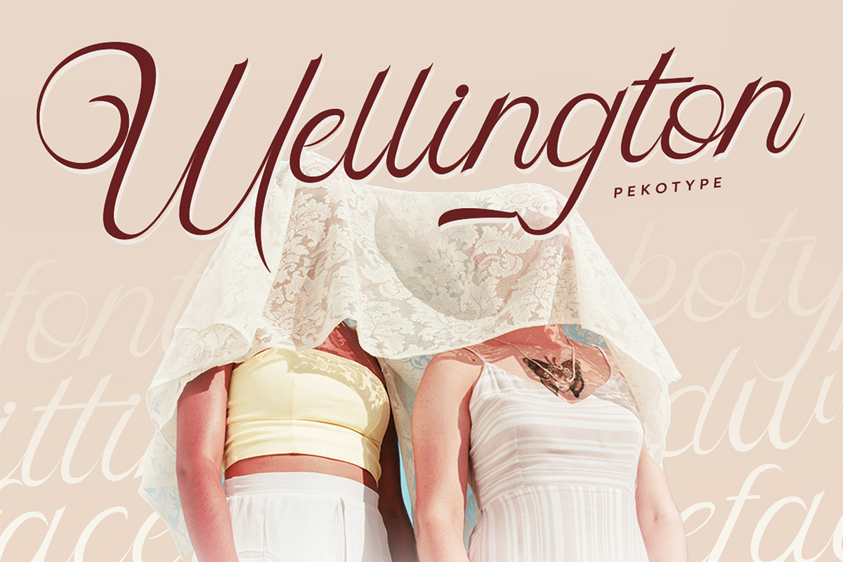 Skipten - Script Handwritten Font, a Script Font by Pekotype (Photo 8 of 11)