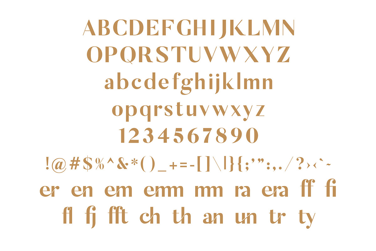 The Chic & Unique Modern Font Bundle, a Sans Serif Font by Tropical Type (Photo 25 of 40)