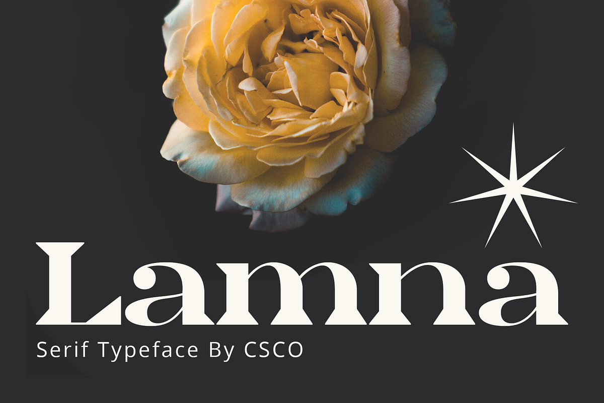 Lamna – Wide Serif Font, a Serif Font by Craft Supply Co. (Photo 1 of 8)