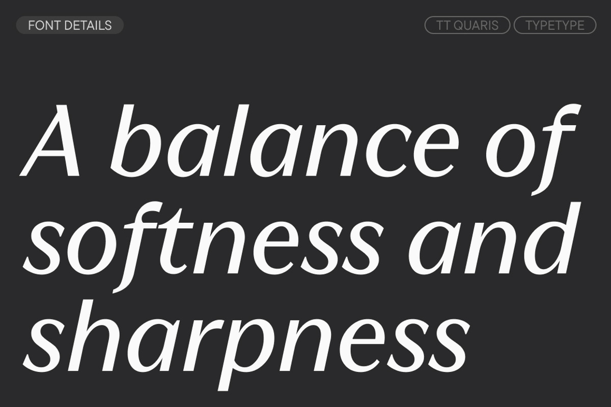 TT Quaris, a Serif Font by TypeType (Photo 3 of 15)