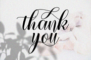 Monika Calligraphy Font, a Script Font by Cut Story (Thumbnail 11 of 11)