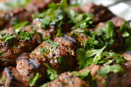 A detailed view of a plate of succul, a Photo by Iftikhar Alam