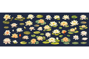 Cartoon water lilies set. Decorative, an Object Illustration by Stock-Smart-Start