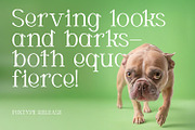 CORTEXO – Modern Serif Typeface, a Serif Font by Foxtype (Thumbnail 3 of 7)