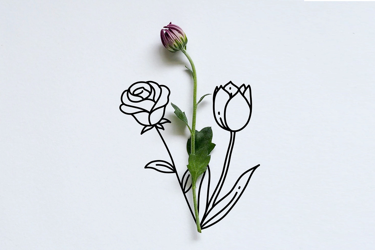 60 Plant & Floral Icons - Flower, an Outline Icon by Hatch Design Workshop (Photo 2 of 11)