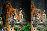 Blast Dispersion Photoshop Action, an Action Add-On by MRI STUDIO (Thumbnail 14 of 14)