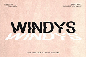 WINDYS