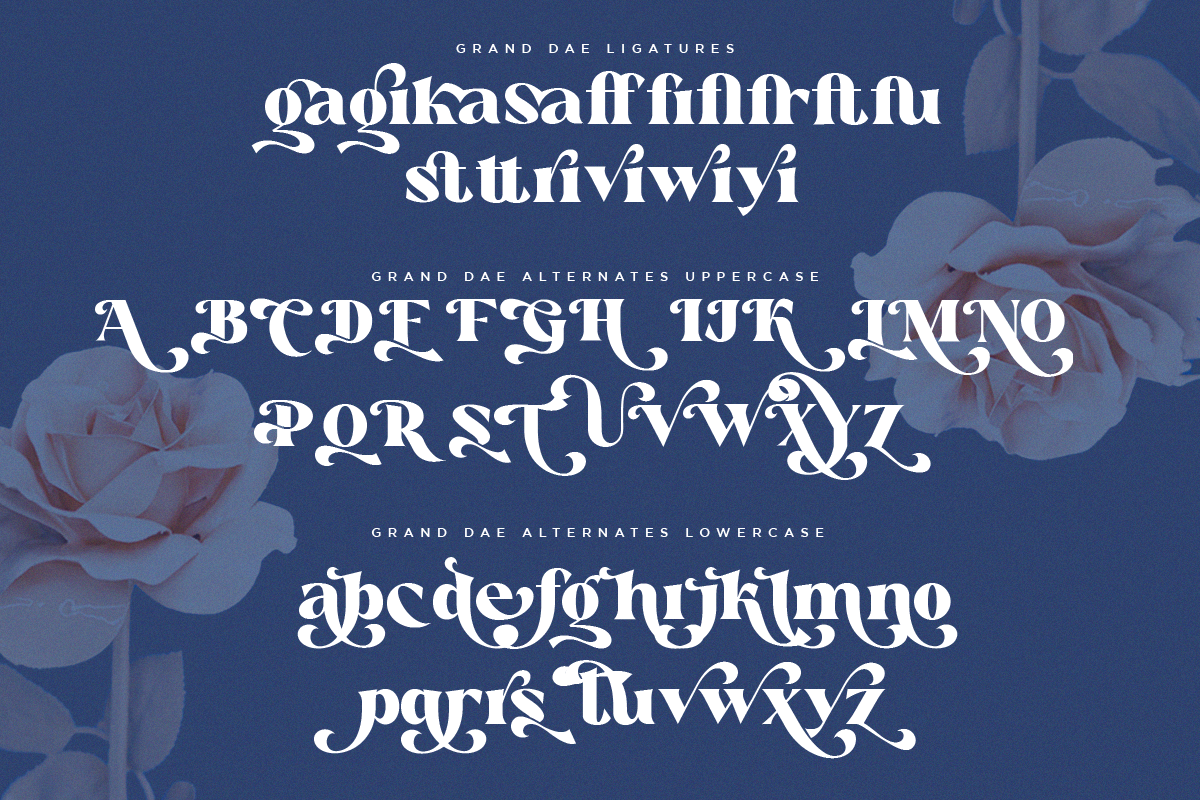 Grand Dae, a Serif Font by Say Studio (Photo 12 of 13)