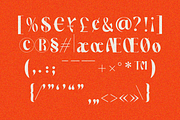 Averdyn, a Serif Font by zaaintype (Thumbnail 10 of 10)