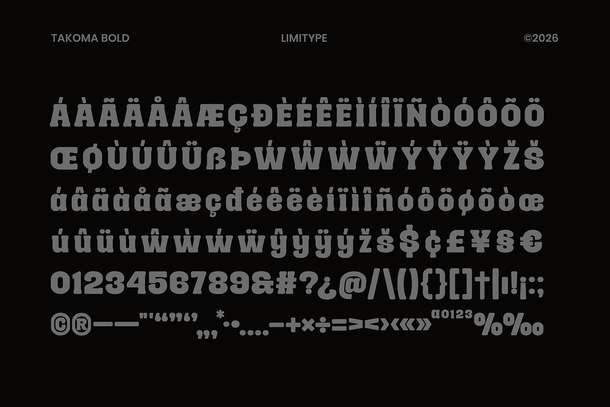 Takoma - Bold Display Font, a Serif Font by limitype (Photo 11 of 12)