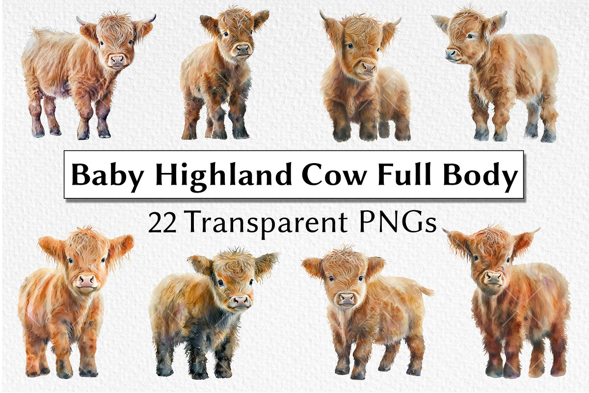 Baby Highland Cow Watercolor Clipart, an Animal Illustration by milkghost (Photo 1 of 2)