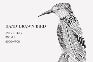 Hand Drawn Bird