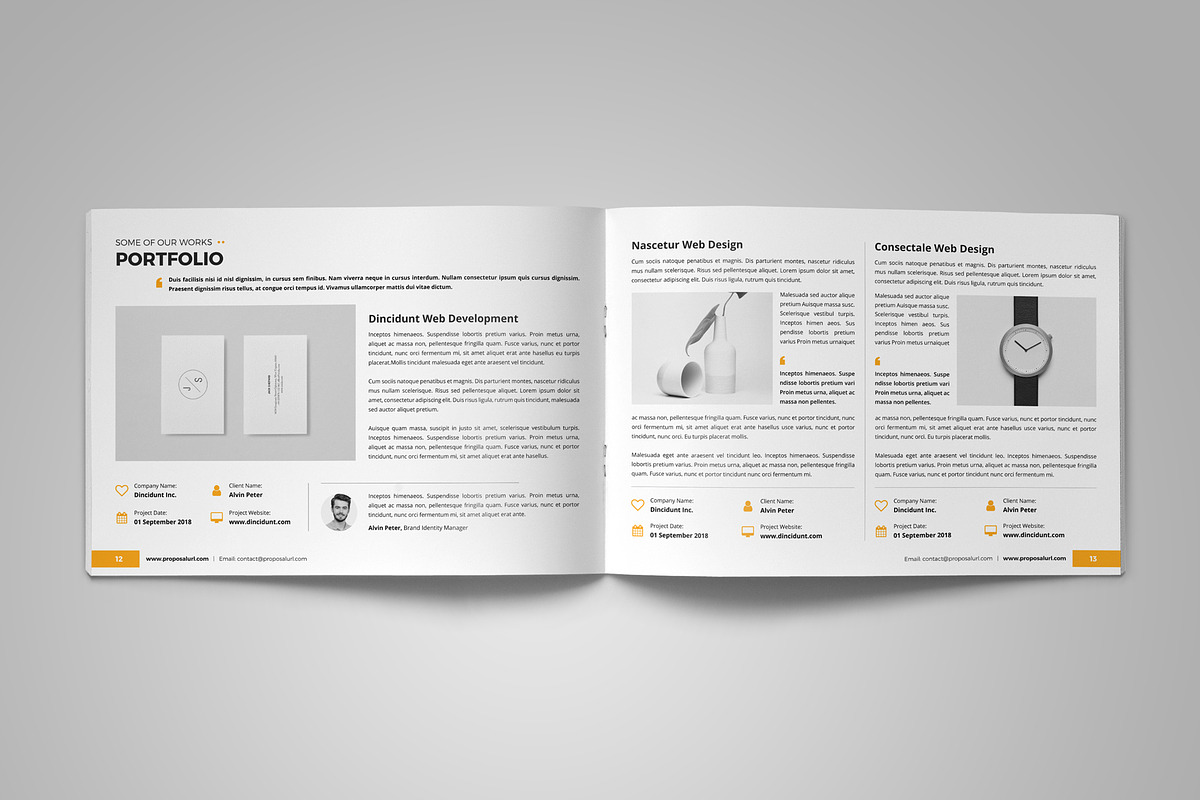 Company Project Proposal v2, a Brochure Template by Miyaji75 (Photo 9 of 16)