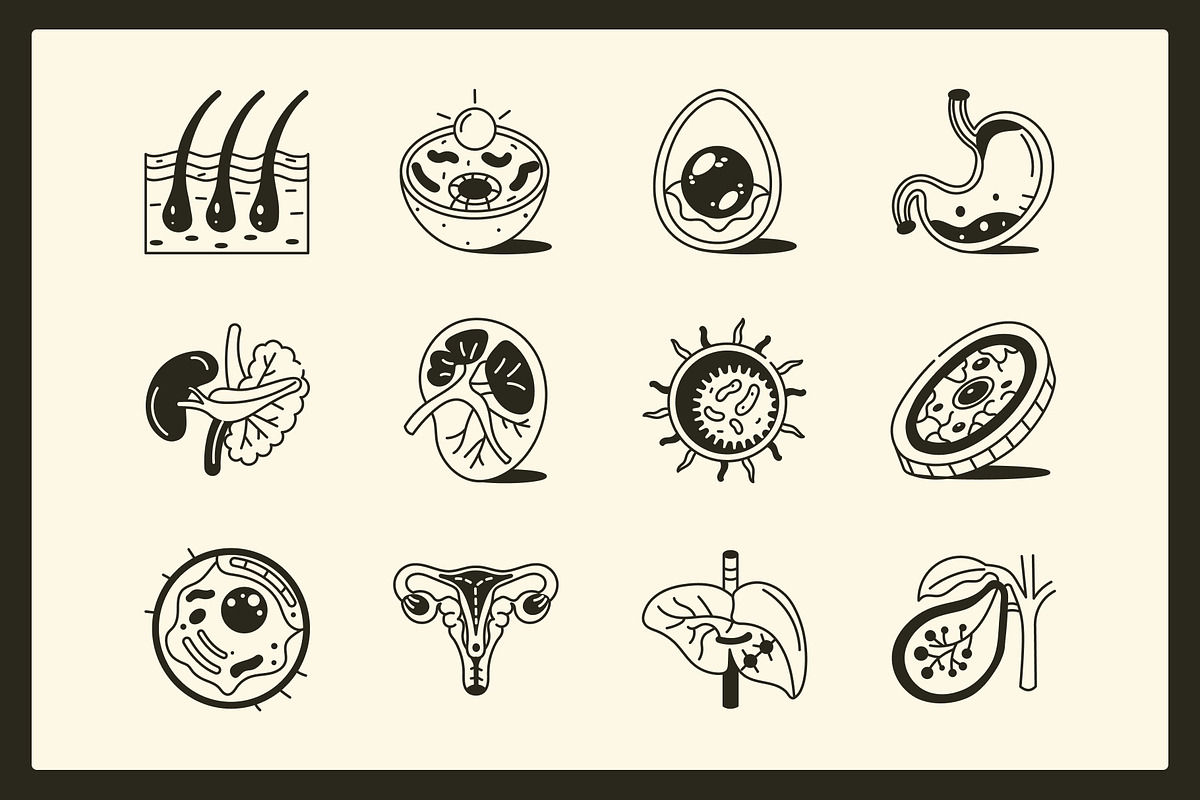 Anatomy Drawing Illustration, an Outline Icon by Vectors Market (Photo 5 of 8)