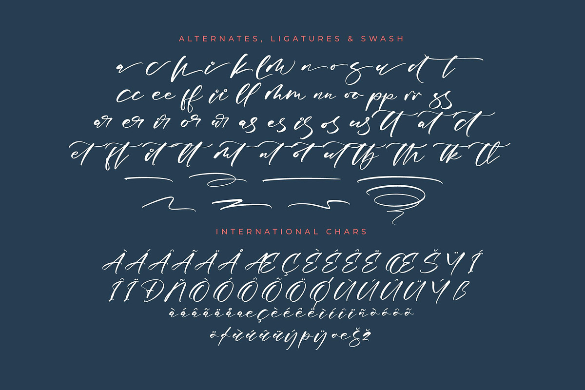 Magnotus Bractea Beautiful Script, a Script Font by Letterena Studios Script (Photo 14 of 15)