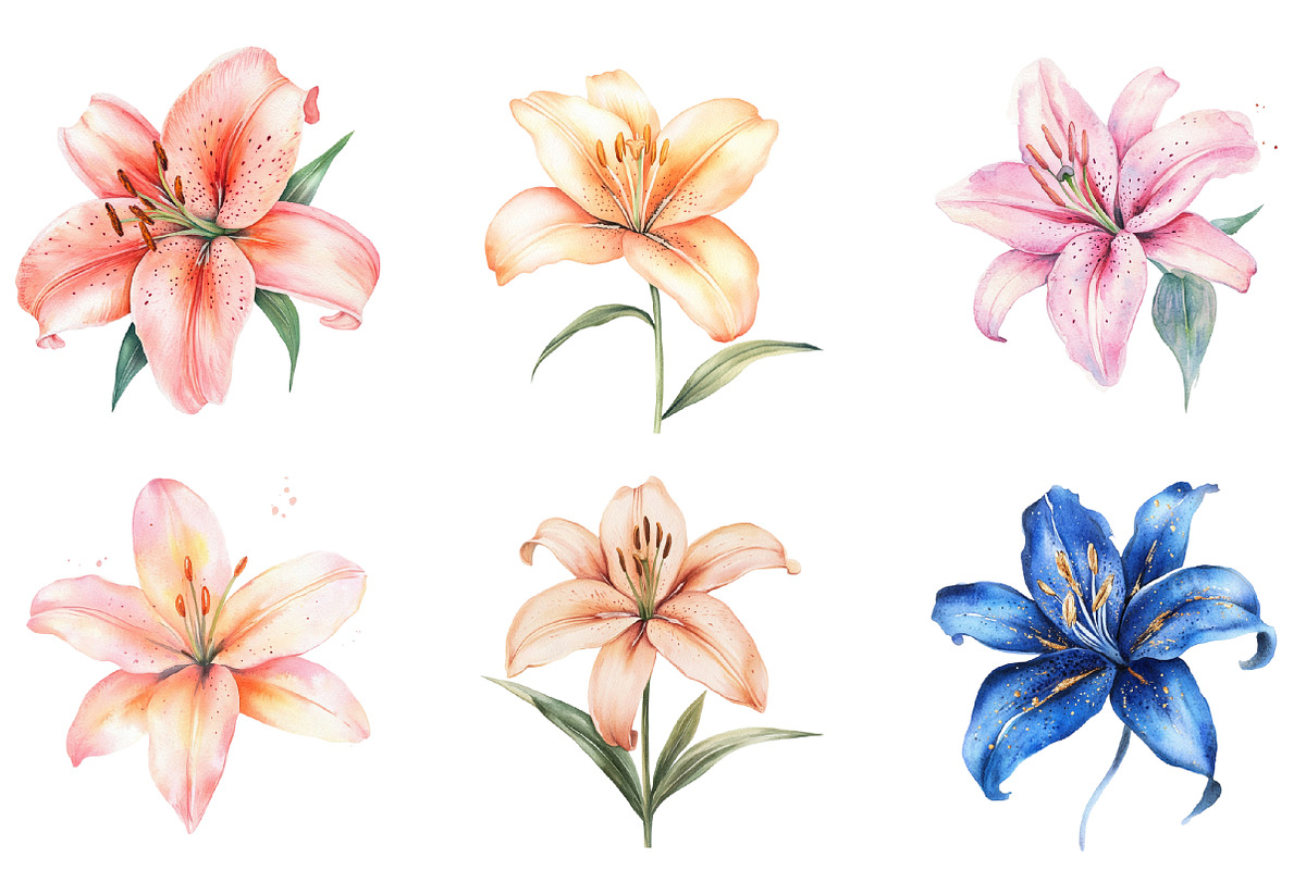 Lily Doodles Colorful PNG, an Illustration by SinaCreation (Photo 3 of 5)