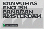 Brekid Luxurious Font, a Serif Font by Erifqizefont (Thumbnail 7 of 16)