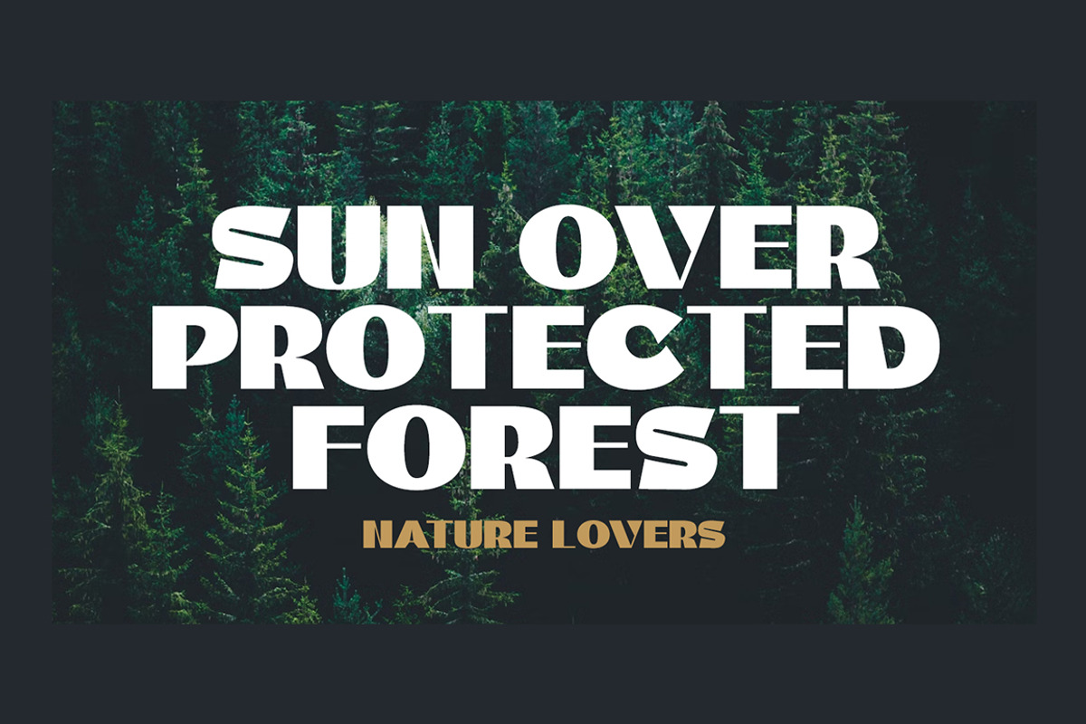 Baze, a Sans Serif Font by Gatype (Photo 9 of 10)