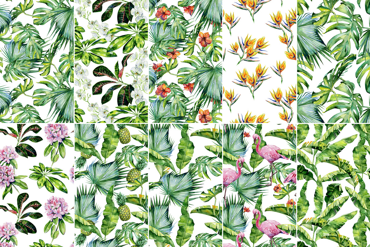 Watercolor tropics, a Pattern Graphic by Anna Myslivets Art (Photo 10 of 12)