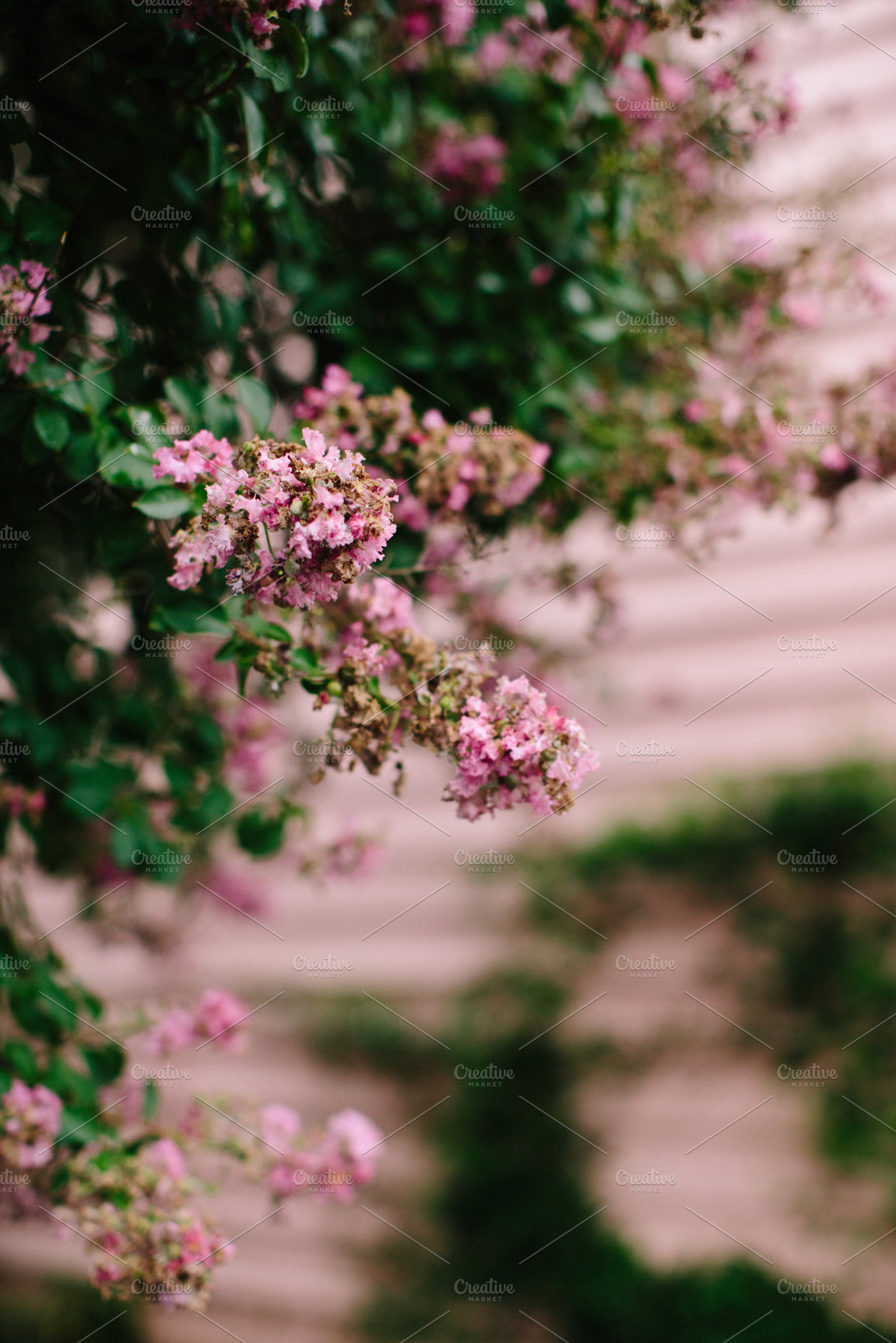 Pink On Pink