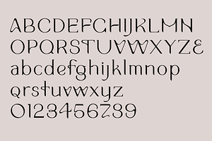 Parish. Stylish Serif Font