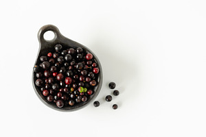 Berries of agraz in bowl featuring vaccinium meridionale, agraz, and bilberry