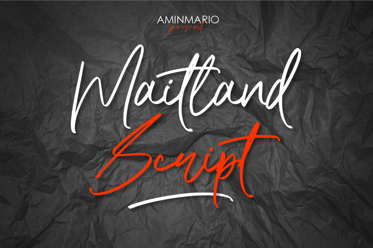 Maitland Script, a Script Font by AMINMARIO (Photo 1 of 15)