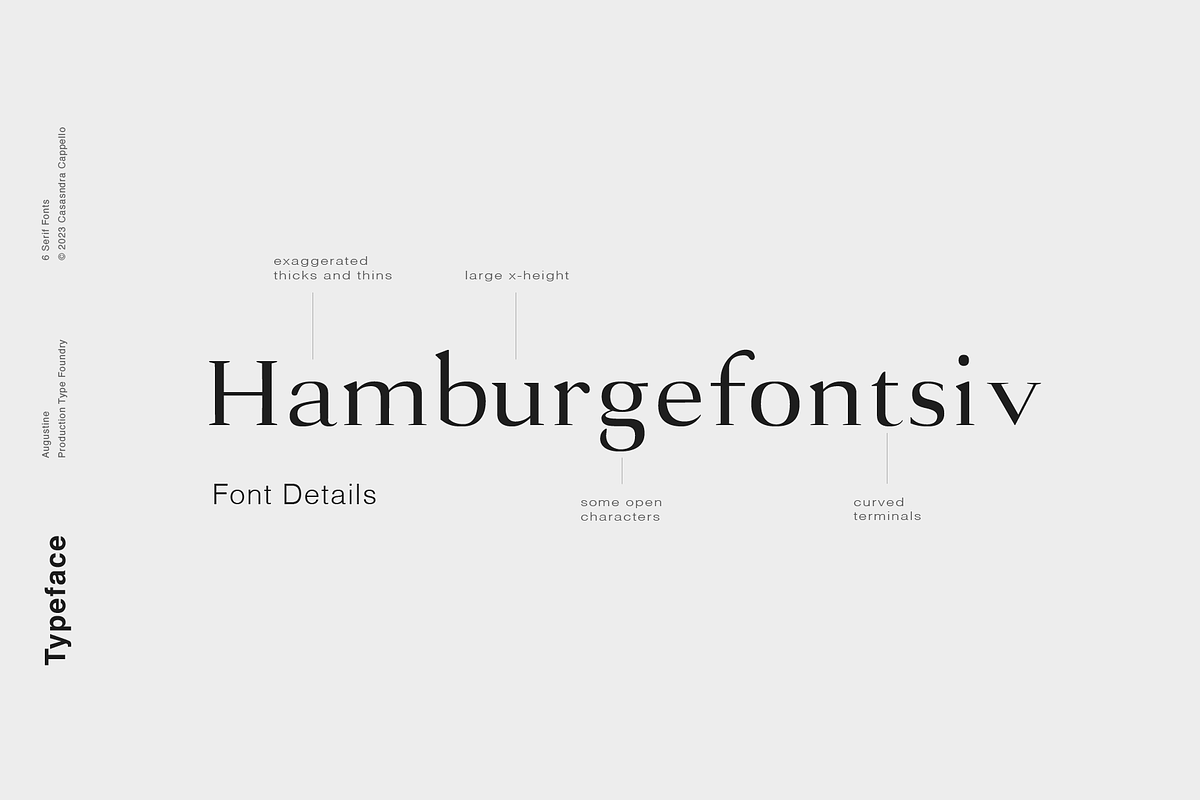 Augustine - A Strong Serif Typeface, a Serif Font by Cassandra Cappello (Photo 3 of 5)