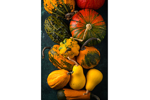 Various decorative pumpkin on green, a Holiday Photo by Yulia Furman