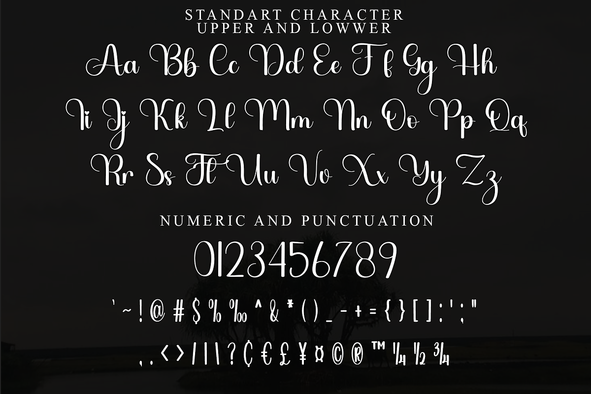 Winterland, a Handwritten Font by FreshTypeINK (Photo 6 of 8)