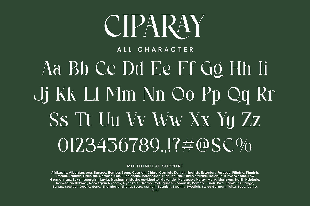 Ciparay, a Serif Font by HATFSTUDIO (Photo 8 of 9)
