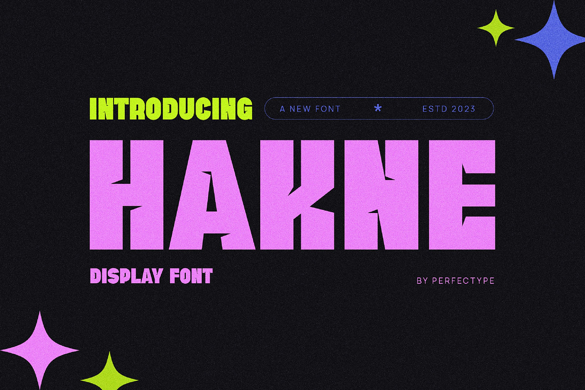 Hanke Modern Sans Serif Font, a Sans Serif Font by Perfectype (Photo 1 of 10)